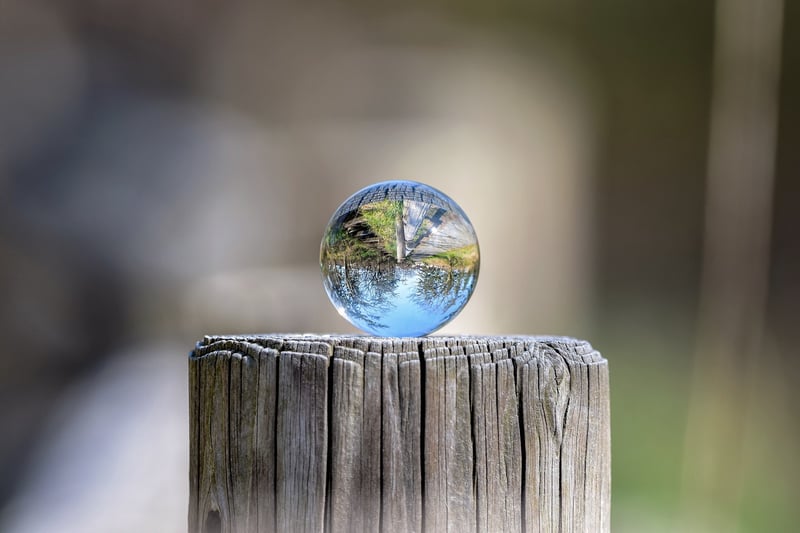 Mirror Worlds